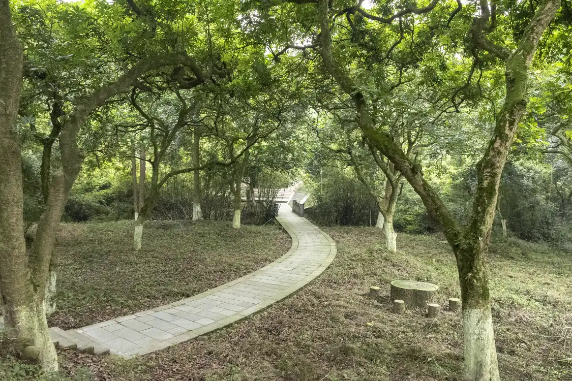 Hotels near Sumian Park
