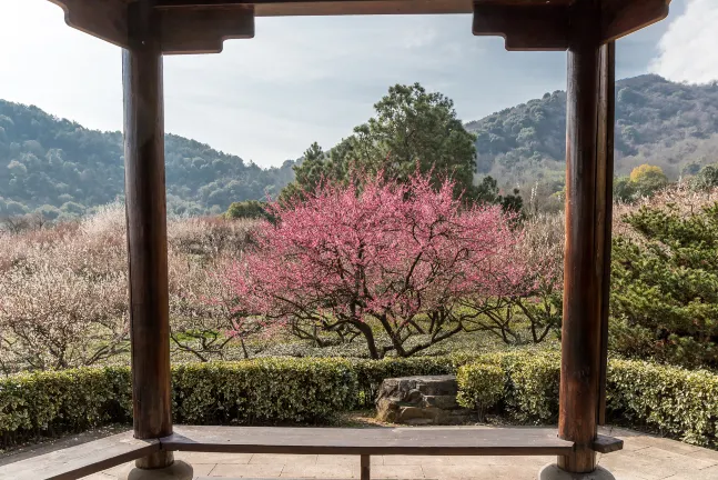 Отзывы об отеле Tea and Experience Factory - Thema Collection