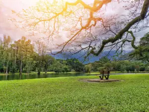 Taiping Lake Gardens