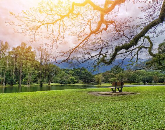 太平 自由行套票