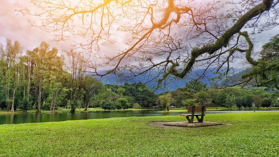 Taiping Lake Gardens