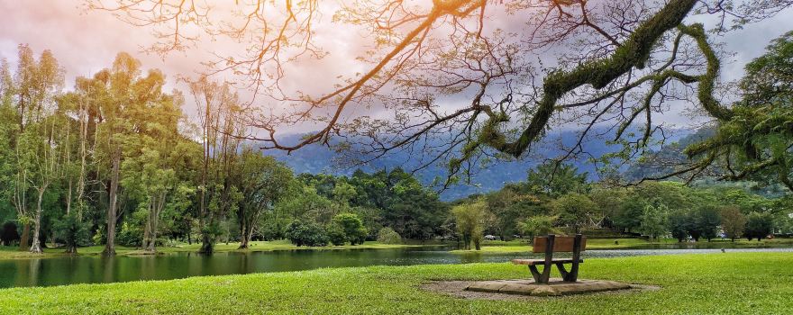 Taiping Lake Gardens