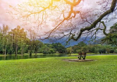Taiping