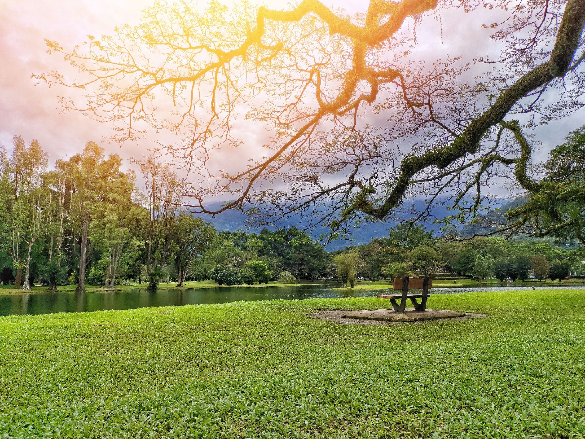 The British Museum + Big Ben + Parliament Square + London Eye + River Thames