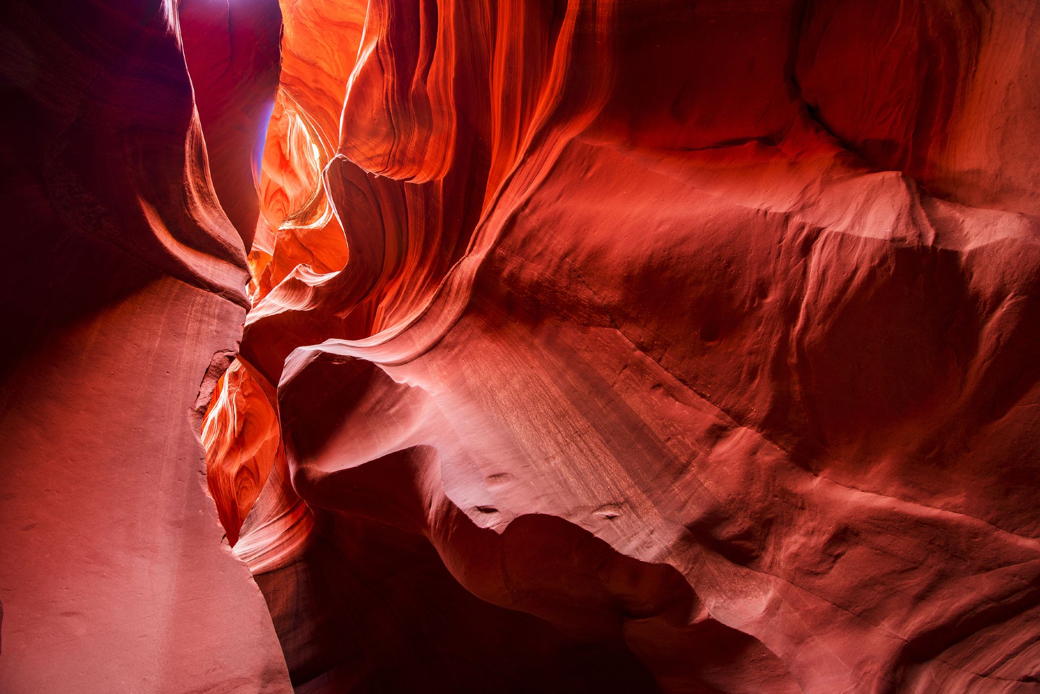 Eendaagse tour naar Antelope Canyon en Horseshoe Bend vanuit Las Vegas (heen- en terugreis)