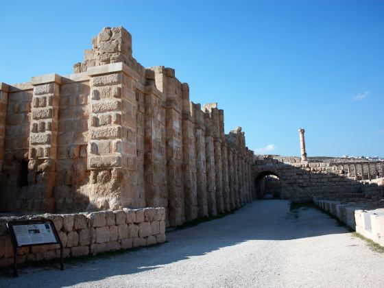 The Archaeological Site of Jerash