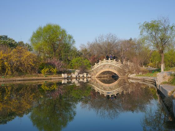 Jiaozhou Park