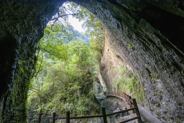 泰國獅航 飛 神農架