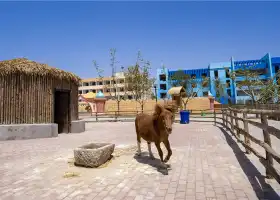 園博動物園