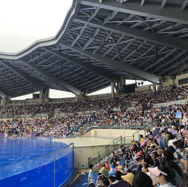 shanghai Haichang Ocean Park