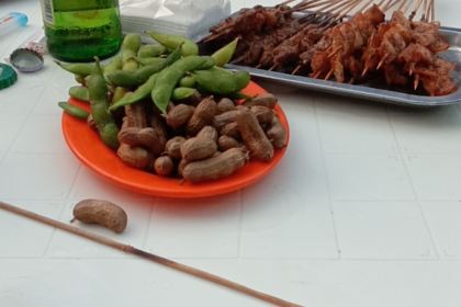 Zhouhei Duck (cengdoujiefanglu)