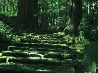 Cape Saikazaki 근처 호텔