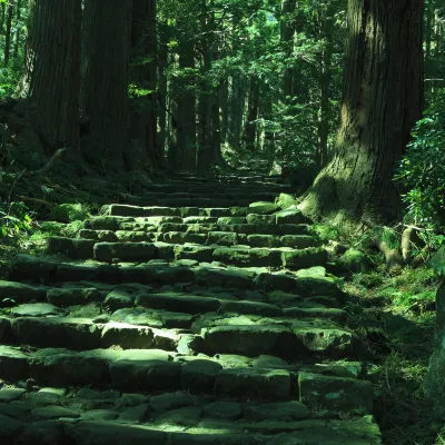 Shirahama Onsen Kisyu Hanto