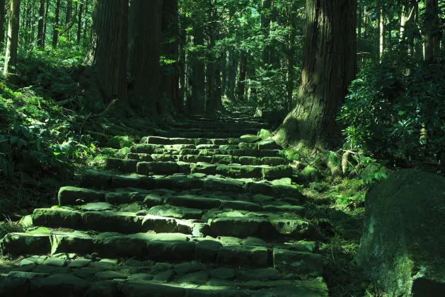 Номер с видом на горы Отели в г. Хатимантай