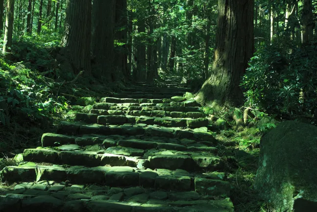 Отзывы об отеле CVS・BAY HOTEL Main Building・Bay Tower