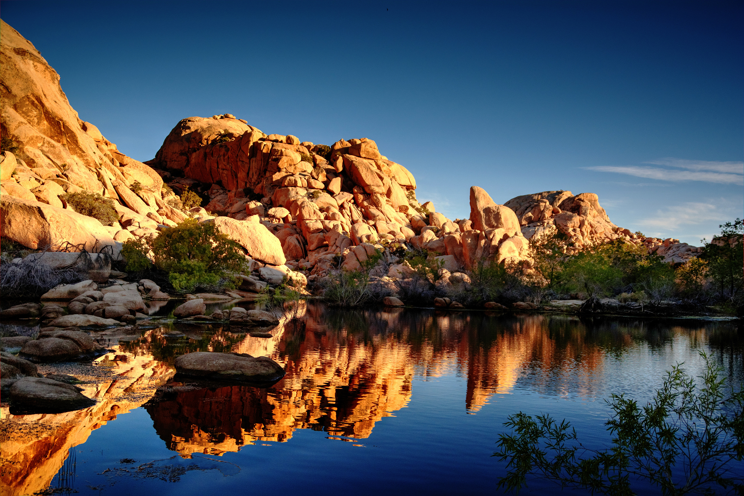 2025 Joshua Tree National Park Travel Guide: Must-see attractions, popular food, hotels, transportation routes (updated in June)