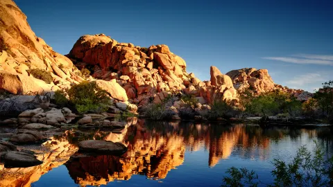 Joshua Tree National Park travel destination
