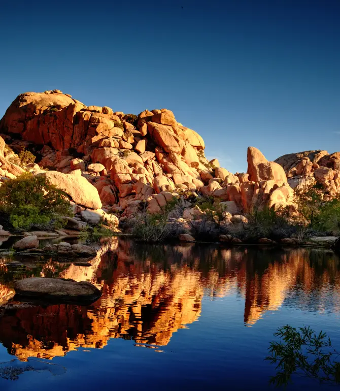 Joshua Tree National Park