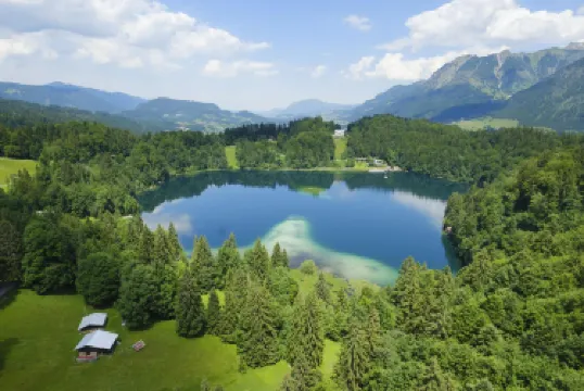 Верхний Альгой