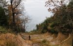 Red Maple Trail