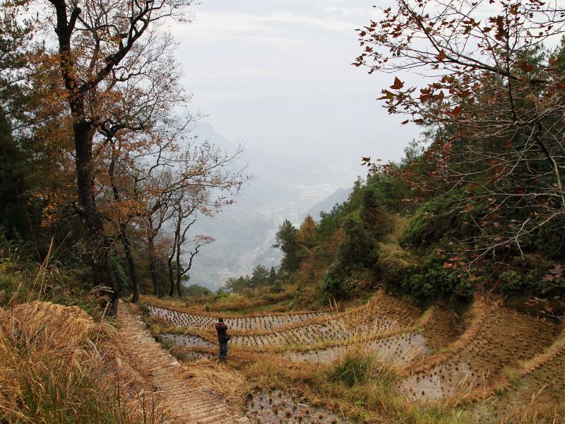 紅楓古道