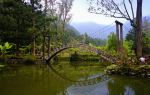 University Pond