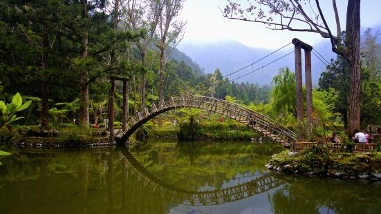 University Pond