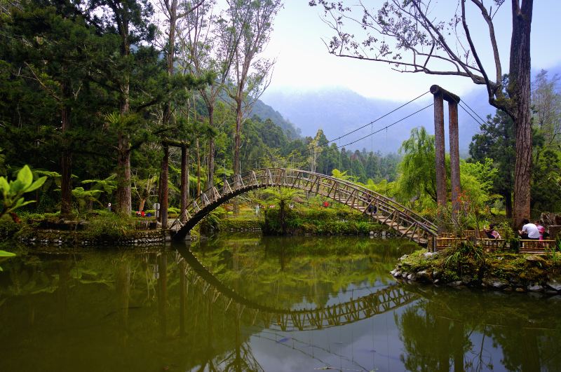 University Pond