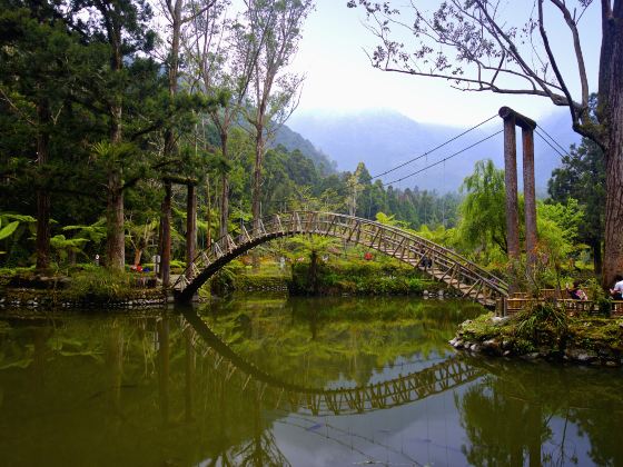 University Pond