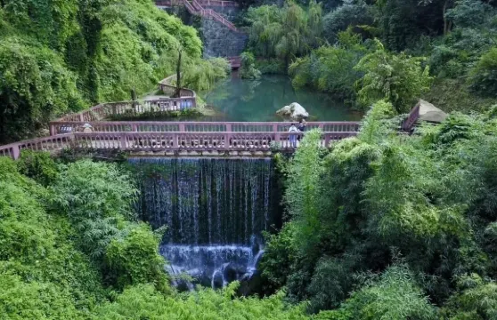 2人起私家團顓頊龍洞二灘國家森林公園一日遊攀枝花上門接送