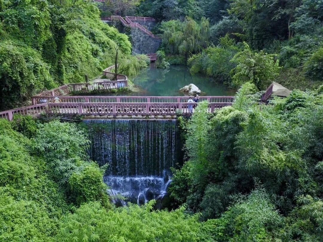 2人起私家團顓頊龍洞二灘國家森林公園一日遊攀枝花上門接送