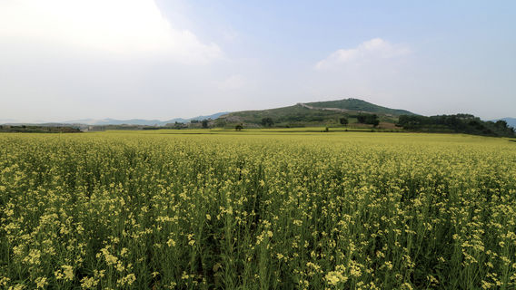 Yanzhou City Historical Site