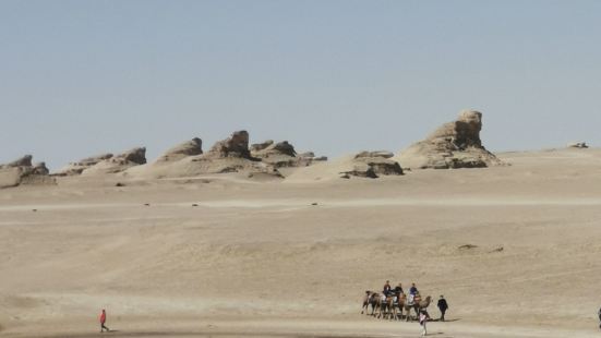 到青海驾车穿越雅丹的无人区， 欣赏神奇的柴达木盆地。在沙漠戈