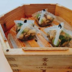 Yan Ting User Photo