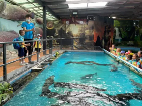 Monster Aquarium Pattaya