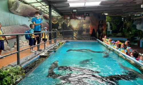 Monster Aquarium Pattaya