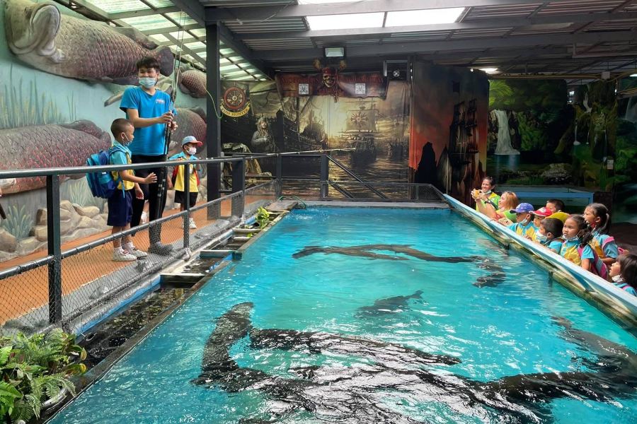 芭堤雅怪物水族館