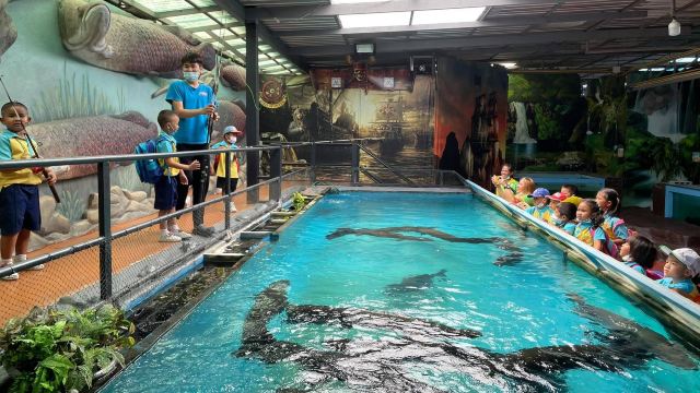 Monster Aquarium Pattaya