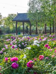 Huajia Peony Garden