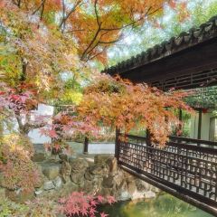 忆秦园小笼包(惠山古镇总店) User Photo