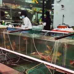 大榕树美食坊(吉祥路店) User Photo