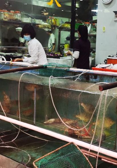 大榕树美食坊(吉祥路店)