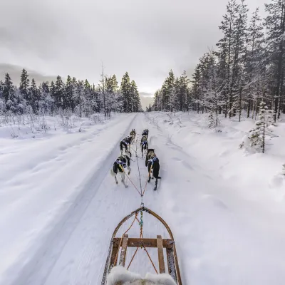 Flights Rovaniemi to Tromso