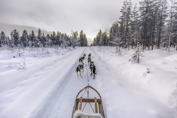 Flug Rovaniemi Berlin