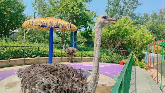 Duoduo Pet Paradise (Evergrande Venice)