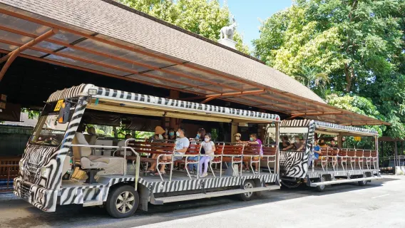 Chiang Mai Night Safari [General Ticket+ Tour Bus] is a good choice for babies and parents, recommended for leisure! !