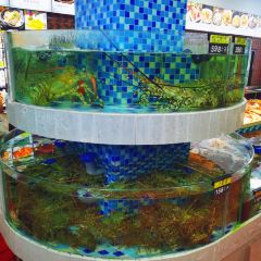 Lailaihaixiancanting|laoxiamenweidao (huochezhan) User Photo