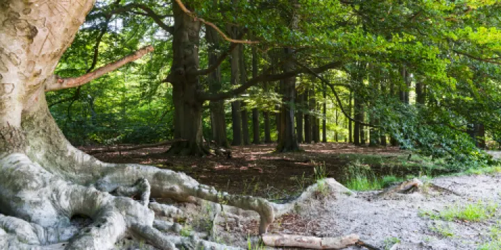 烏得勒支嶺國家公園