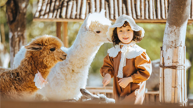 Qingdao Children's Dream Park