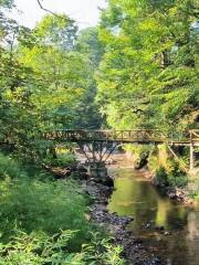 龍蒼溝山地運動公園